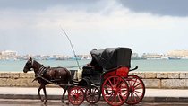 Alexandria Horse Carriage Tour 