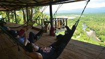 One day tour in the jungle. all inclusive.