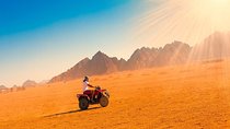 Private Safari Tour in Luxor