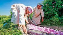 Jebel al Akhdar - Rose Garden/Balad Sayt Village/Diana's Point