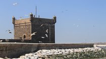 Marrakech to Essaouira: Culture, Souks & Tree-Goats Adventure