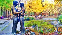 Nami island and Petite France {Private day tour}