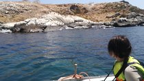 Zapallar and Cachagua Island Experience 