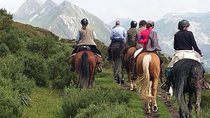 Horse Riding Madrid Natural Park