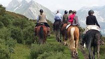 Horse Riding Madrid Natural Park (long Trip)