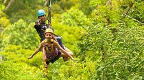 Flying Hanuman Ziplines 42 platforms with Transfer RoundTrips