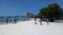 Ocho Rios Sightseeing, Shopping & Evita's Jam-Italian Lunch