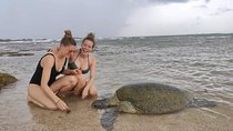 14 Days Tour in Sri Lanka (Hotels with Breakfast & Luxury Car)