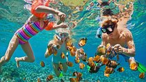 Phuket Coral & Racha Island by Speedboat (Full day)