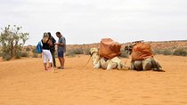 Excursion to the little Sahara, visit Tiznit, Tifnit, & Massa.
