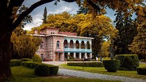Private Tour in Kakheti: Visit to Alaverdi Cathedral, Gremi Citadel & Test Wine.