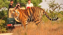 Ranthambore Tiger Safari Tickets With Optional Transfers