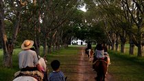Estancia Day in Buenos Aires, Gaucho´s Party Tour