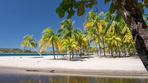 Private Transfer From Liberia Airport To Samara And Carrillo Beach