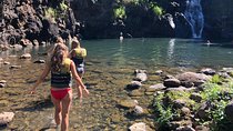 Surf and SeaTurtles Oahu Tour