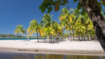Private Transfer From Liberia Airport To Samara Beach And Carrillo Beach