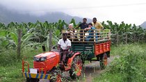 Hill station farm house stay 