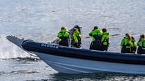 2-Hour RIB Boat Whale Watching Tour from Reykjavik