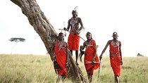 Private 7 Days Samburu Ol pejeta Lake Nakuru Lake Naivasha and Masai Mara Safari