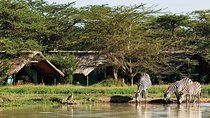 6 Days Samburu Sweetwaters Lake Nakuru & Lake Naivasha Wildlife Safari 