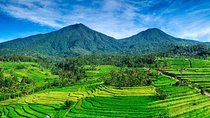 Tanah Lot - JatiLuwih (UNESCO) - Ulun Danu Temple - Wanagiri Hill - Free WiFi