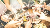 Professional 6 Wines Tasting with Regional Appetizers in a Local’s home - Siena