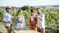 The art of the Italian Aperitivo with a local: Learn & Enjoy in Siena