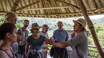 Coffee Tour at Hacienda Venecia near Salento