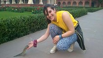All Inclusive Taj Mahal, Fort & Baby Taj Tour from Delhi by Car