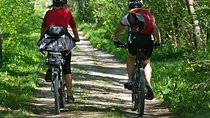 Mountain biking in the forest