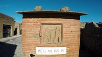 Pompeii, Herculaneum and Local wine tour from SORRENTO
