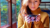 Private car tour in Kyoto (up to 4)