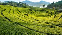 4 Day 3 Night City Tour Jakarta - Bandung 