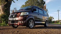 Lovina taxi to ubud