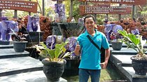 Lovina Tour