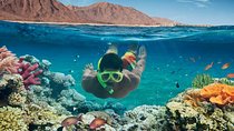 Sharm el-Sheikh: Ras Muhammad Snorkel and Desert Safari