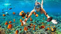 Sharm el-Sheikh: Snorkel & Camel Safari at Blue Hole