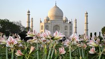 Taj Mahal Sunrise and Agra Overnight Tour from Chennai 