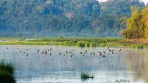 Wild private Nam Cat Tien National Park 2 days 1 night