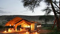  11 Days Guided Africa Wildlife Photography Tours