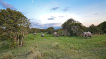 4 Days Ol Pejeta & Samburu National Reserve Safari 