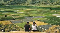 Sembalun Package.. (Special Rice Terrace View) 