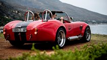 Full Peninsula Cobra Experience - Self drive sightseeing on the Cape Peninsula