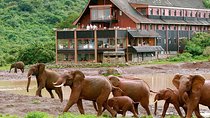 Private 5 Days Samburu National Reserve, Aberdares & Lake Nakuru Wildlife Safari