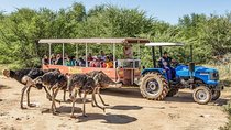 5 Day Garden Route, Safari and Cape Agulhas