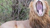  12 Days Kenya Safari Holidays