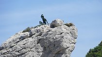 Private Day Stress Free Tour: Capri and Blue Grotto From Naples