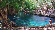 Kikuletwa Hotspring Day Trip
