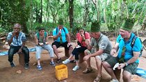 Spice Tour by the door tours 