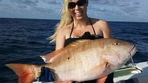 Miami Deep Sea Fishing Charters